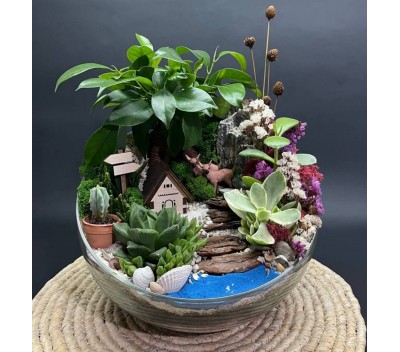 Флорариум "Мини-сад" "Сказочный лес" с бонсаем - фикусом Гинсенг и оленятами арт. 122