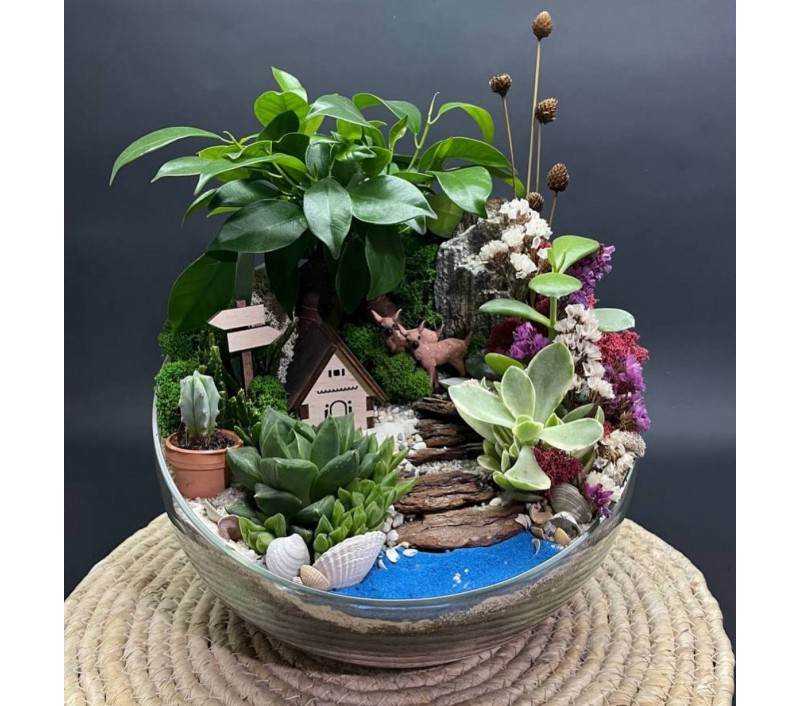 Флорариум "Мини-сад" "Сказочный лес" с бонсаем - фикусом Гинсенг и оленятами арт. 122