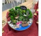 Флорариум "Мини-сад" "Фламинговый рай" с суккулентами и фламинго арт. 123