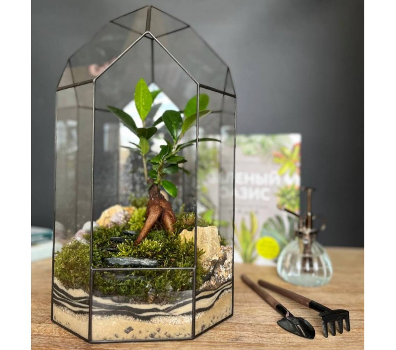 Флорариум "Мини-сад" в геометрической форме в стиле "Tiffany" "Леон"  арт. 092