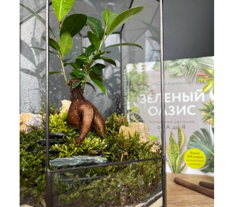 Флорариум "Мини-сад" в геометрической форме в стиле "Tiffany" "Леон"  арт. 092