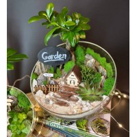 Флорариум "Мини-сад" "Руан" с бонсаем - фикусом Гинсенг, суккулентами и домиком. арт. 126 Флорариум "Мини-сад" "Руан" с бонсаем - фикусом Гинсенг, суккулентами и домиком. арт. 126
