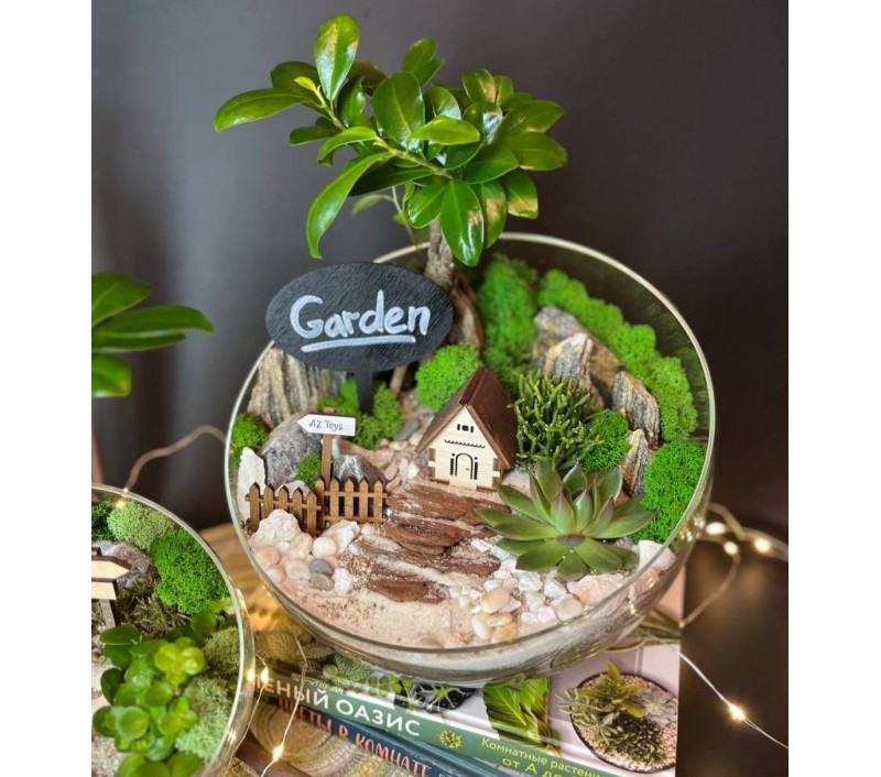 Флорариум "Мини-сад" "Руан" с бонсаем - фикусом Гинсенг, суккулентами и домиком. арт. 126