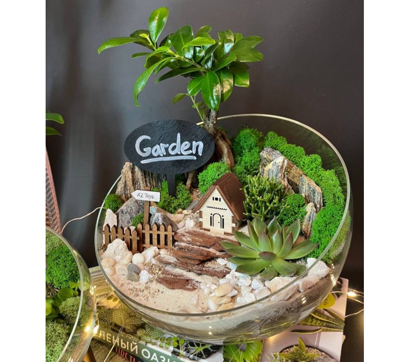 Флорариум "Мини-сад" "Руан" с бонсаем - фикусом Гинсенг, суккулентами и домиком. арт. 126