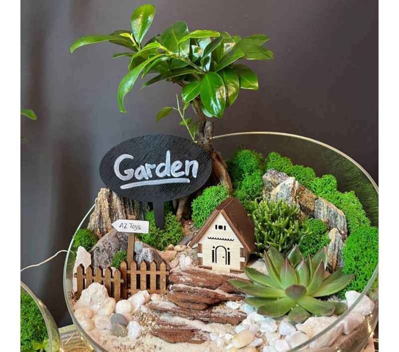 Флорариум "Мини-сад" "Руан" с бонсаем - фикусом Гинсенг, суккулентами и домиком. арт. 126
