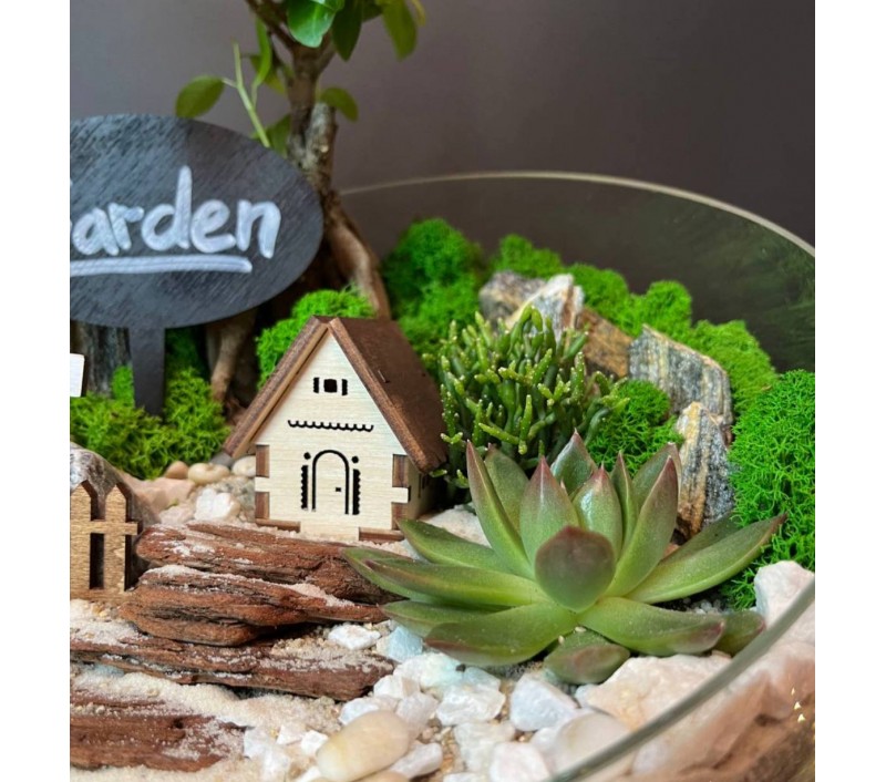 Флорариум "Мини-сад" "Руан" с бонсаем - фикусом Гинсенг, суккулентами и домиком. арт. 126