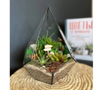 Флорариум "Мини-сад" в форме «Капля» "Суматра" арт. 129