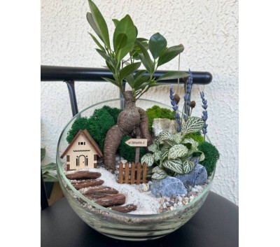 Флорариум "Мини-сад" "Маврикий" с бонсаем - фикусом Гинсенг, фиттонией и домиком арт. 130 Флорариум "Мини-сад" "Маврикий" с бонсаем - фикусом Гинсенг, фиттонией и домиком арт. 130