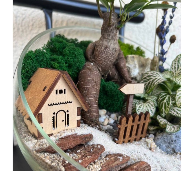 Флорариум "Мини-сад" "Маврикий" с бонсаем - фикусом Гинсенг, фиттонией и домиком арт. 130