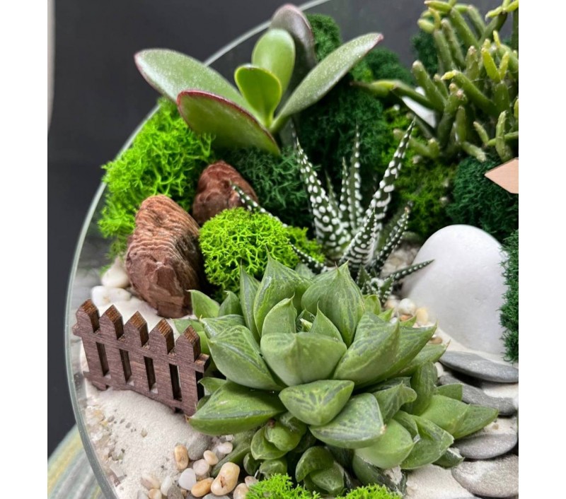 Флорариум "Мини-сад" "Бристоль" арт. 131