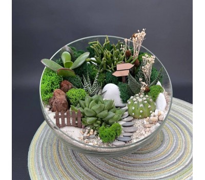Флорариум "Мини-сад" "Бристоль" арт. 131