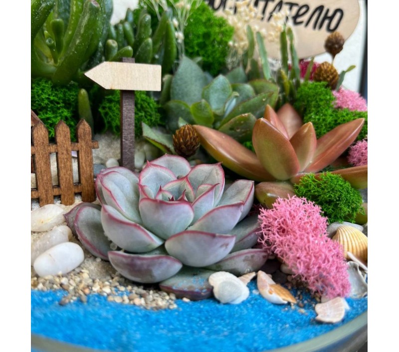 Флорариум "Мини-сад" "Сан-Марино" арт. 132
