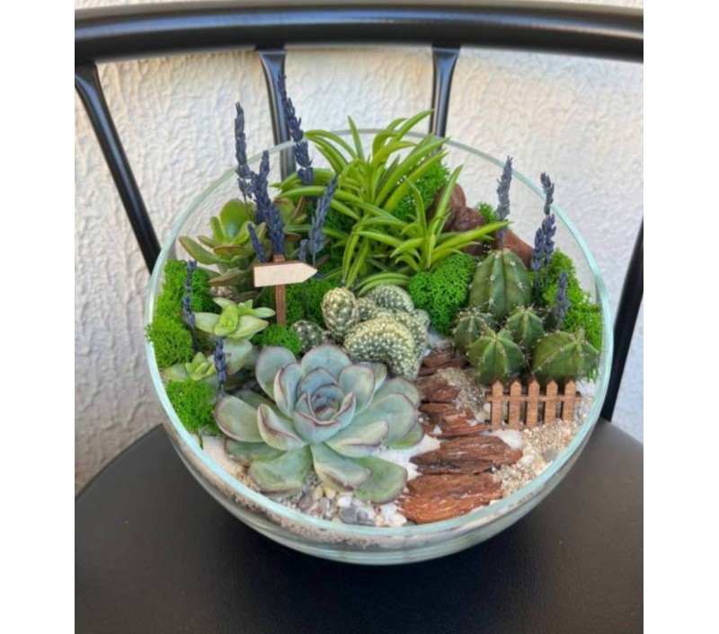 Флорариум "Мини-сад" "Сицилия" арт. 061
