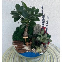 Флорариум "Мини-сад" "Афины" с бонсаем - фикусом Гинсенг и Фиттонией и пеперомией Россо арт. 136 Флорариум "Мини-сад" "Афины" с бонсаем - фикусом Гинсенг и Фиттонией и пеперомией Россо арт. 136