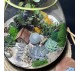 Флорариум "Мини-сад" "Фьордовый оазис" в закрытой экосистеме с подсветкой арт. 137