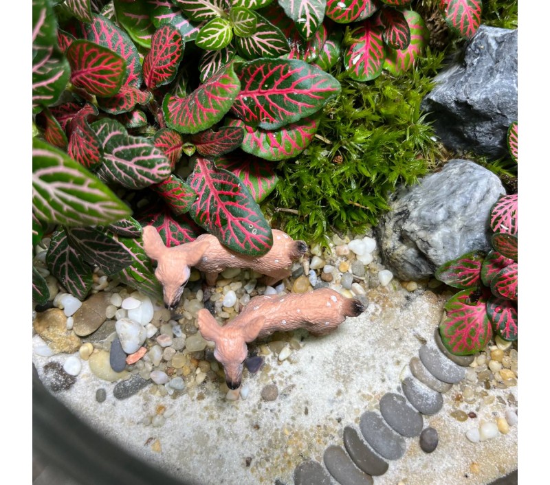 Флорариум "Мини-сад" "Фьордовый оазис" в закрытой экосистеме с подсветкой арт. 137