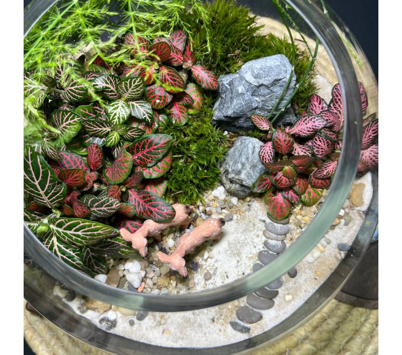 Флорариум "Мини-сад" "Фьордовый оазис" в закрытой экосистеме с подсветкой арт. 137