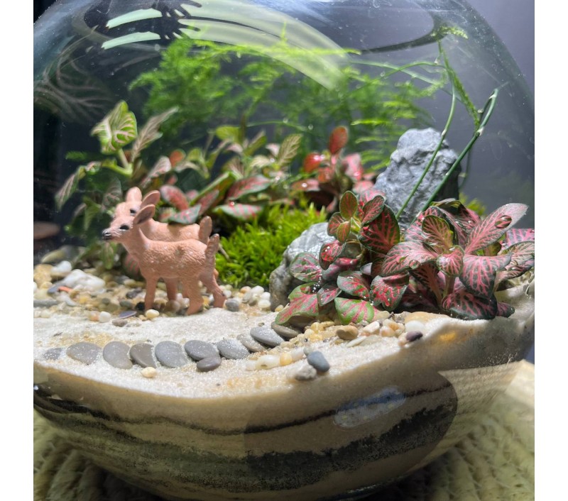 Флорариум "Мини-сад" "Фьордовый оазис" в закрытой экосистеме с подсветкой арт. 137