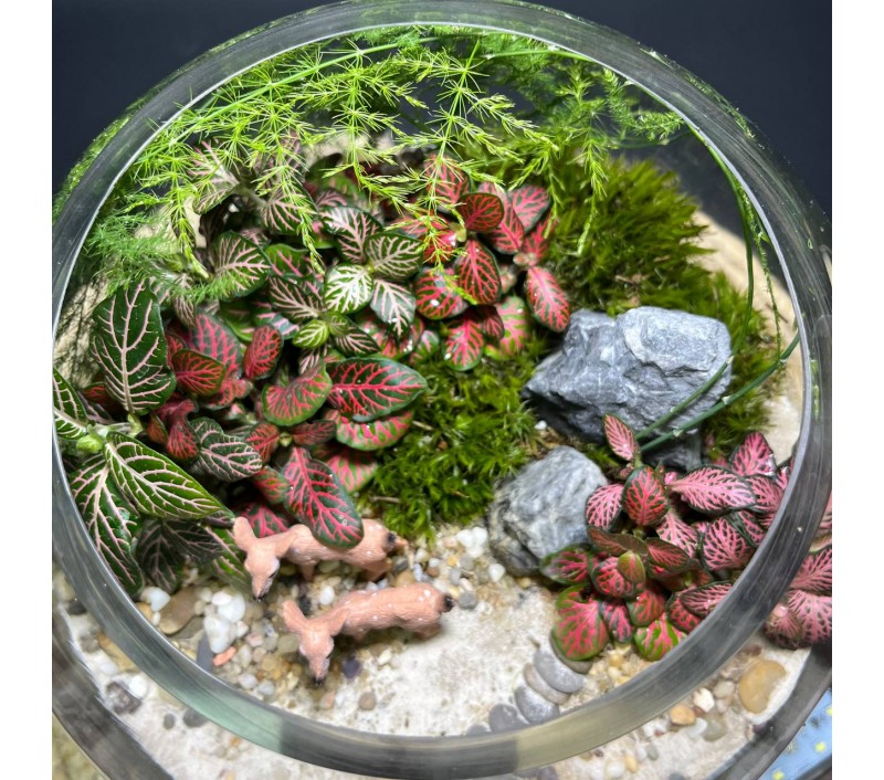 Флорариум "Мини-сад" "Фьордовый оазис" в закрытой экосистеме с подсветкой арт. 137