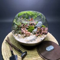 Флорариум "Мини-сад" "Фьордовый оазис" в закрытой экосистеме с подсветкой арт. 137