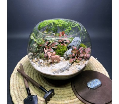 Флорариум "Мини-сад" "Фьордовый оазис" в закрытой экосистеме с подсветкой арт. 137