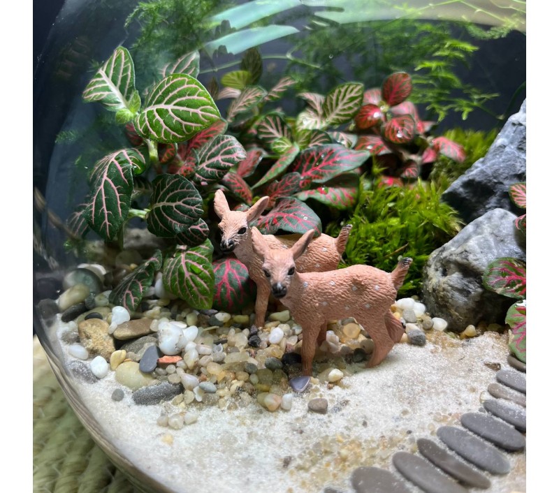 Флорариум "Мини-сад" "Фьордовый оазис" в закрытой экосистеме с подсветкой арт. 137