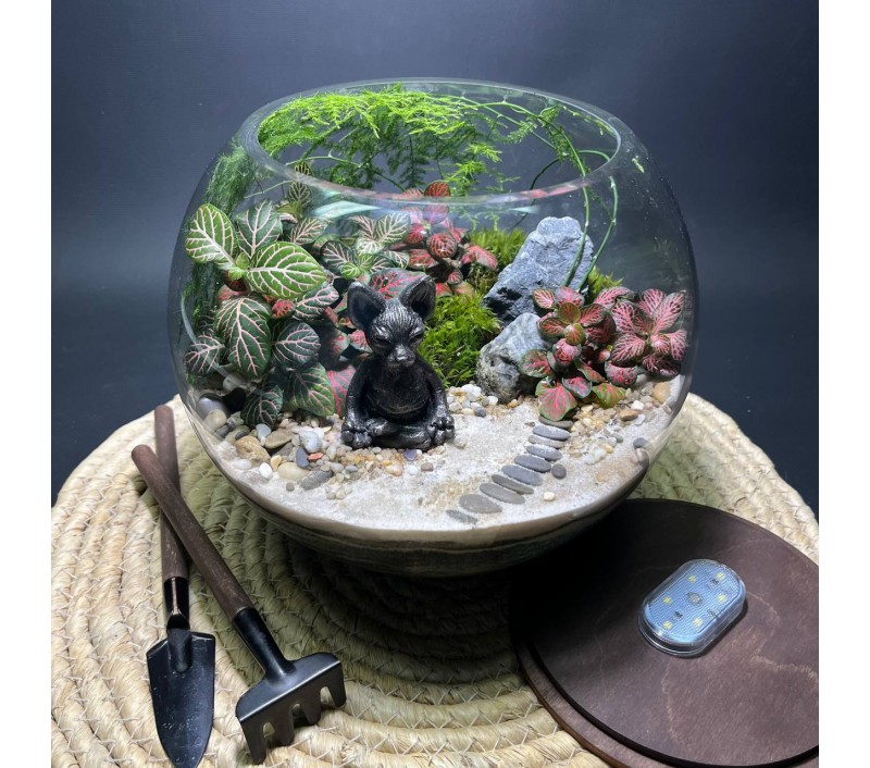 Флорариум "Мини-сад" "Лотос" в закрытой экосистеме с подсветкой арт. 139