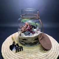 Флорариум "Мини-сад" "Бергамо" в закрытой экосистеме с подсветкой арт. 140