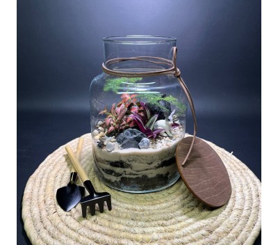 Флорариум "Мини-сад" "Бергамо" в закрытой экосистеме с подсветкой арт. 140