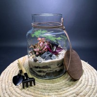 Флорариум "Мини-сад" "Триполи" в закрытой экосистеме с подсветкой арт. 141