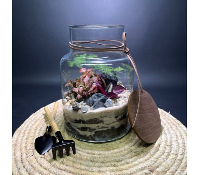 Флорариум "Мини-сад" "Триполи" в закрытой экосистеме с подсветкой арт. 141