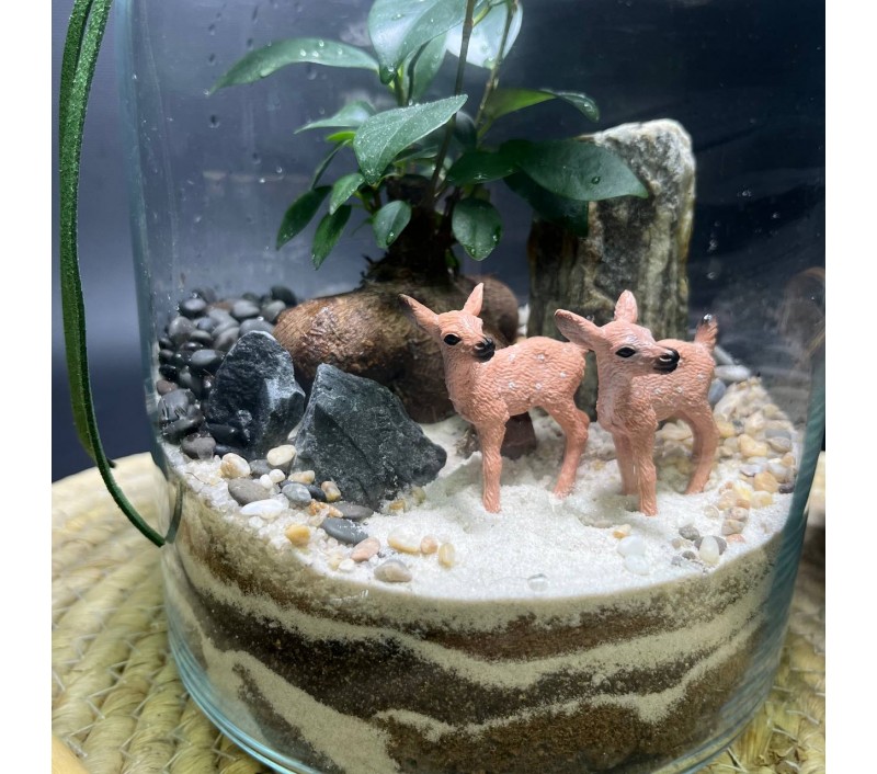 Флорариум "Мини-сад" "Лесной дуэт" в закрытой экосистеме с подсветкой арт. 142