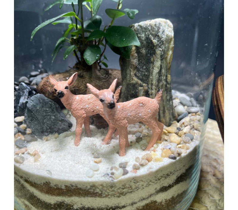 Флорариум "Мини-сад" "Лесной дуэт" в закрытой экосистеме с подсветкой арт. 142