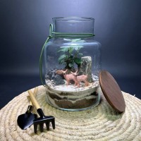 Флорариум "Мини-сад" "Лесной дуэт" в закрытой экосистеме с подсветкой арт. 142