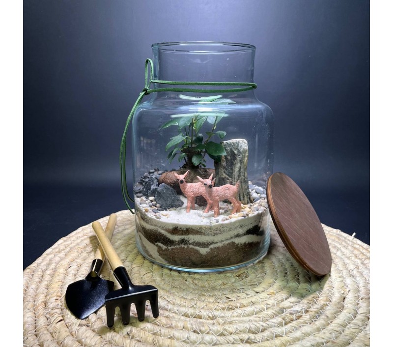 Флорариум "Мини-сад" "Лесной дуэт" в закрытой экосистеме с подсветкой арт. 142