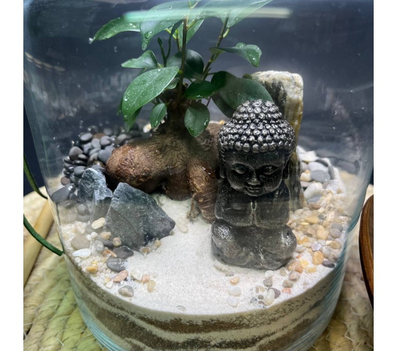 Флорариум "Мини-сад" "Шри-Ланка" в закрытой экосистеме с подсветкой арт. 143