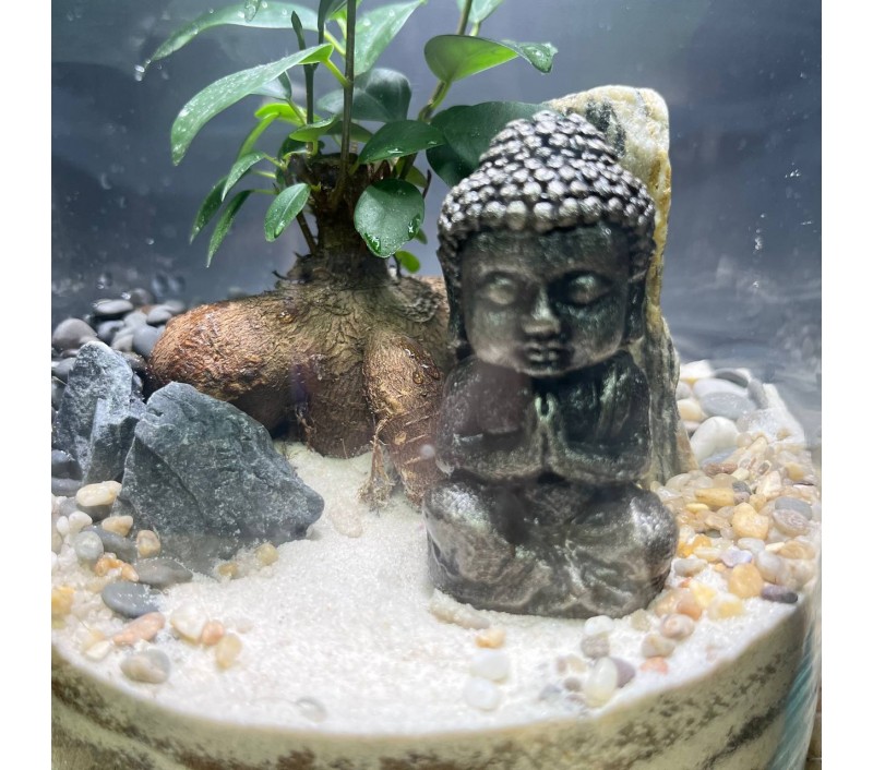 Флорариум "Мини-сад" "Шри-Ланка" в закрытой экосистеме с подсветкой арт. 143