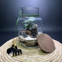 Флорариум "Мини-сад" "Шри-Ланка" в закрытой экосистеме с подсветкой арт. 143 Флорариум "Мини-сад" "Шри-Ланка" в закрытой экосистеме с подсветкой арт. 143