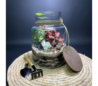 Флорариум "Мини-сад" "Мьянма" в закрытой экосистеме с подсветкой арт. 144