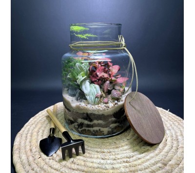 Флорариум "Мини-сад" "Мьянма" в закрытой экосистеме с подсветкой арт. 144 Флорариум "Мини-сад" "Мьянма" в закрытой экосистеме с подсветкой арт. 144