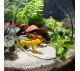 Флорариум "Мини-сад" "Колумбия" в закрытой экосистеме с подсветкой арт. 145