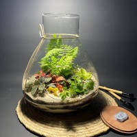 Флорариум "Мини-сад" "Колумбия" в закрытой экосистеме с подсветкой арт. 145 Флорариум "Мини-сад" "Колумбия" в закрытой экосистеме с подсветкой арт. 145