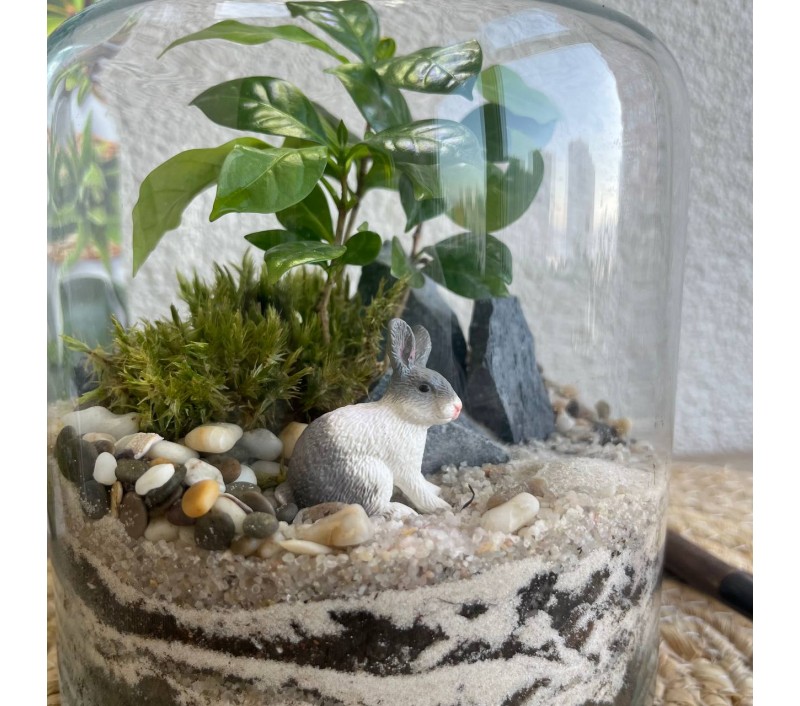 Флорариум "Мини-сад" "Колумбия" в закрытой экосистеме с подсветкой арт. 145