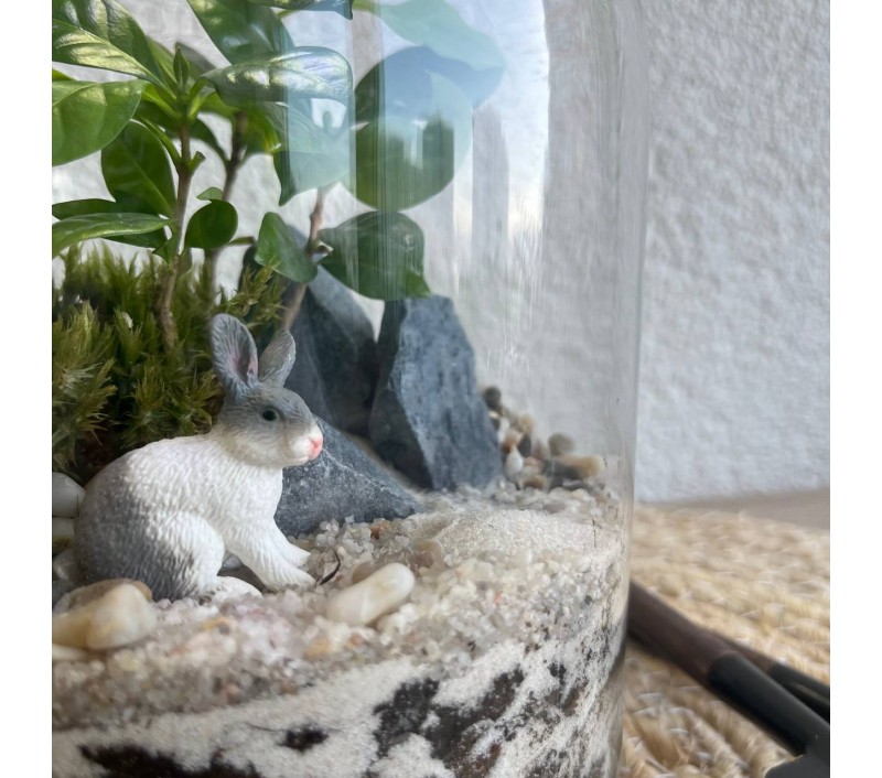 Флорариум "Мини-сад" "Колумбия" в закрытой экосистеме с подсветкой арт. 145