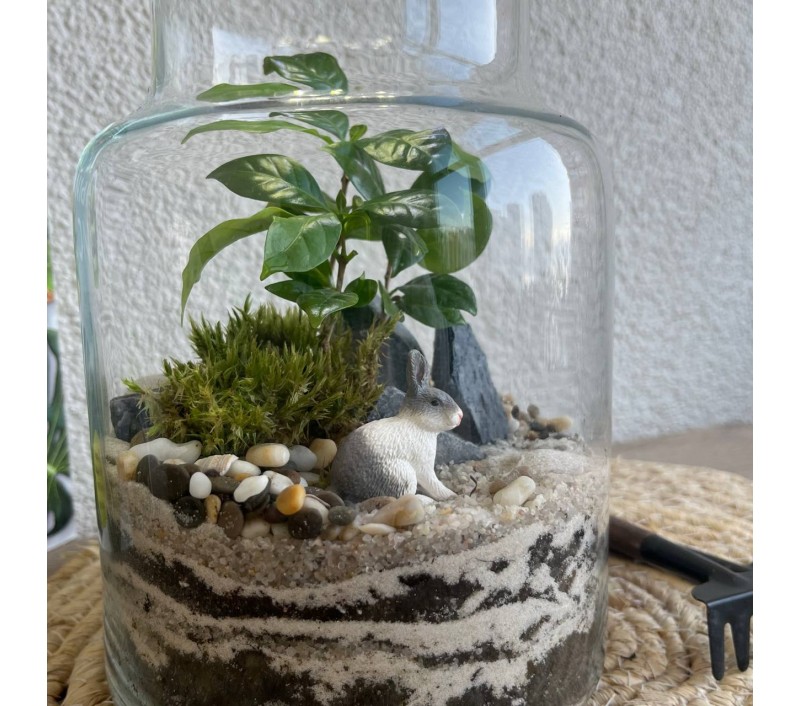 Флорариум "Мини-сад" "Колумбия" в закрытой экосистеме с подсветкой арт. 145