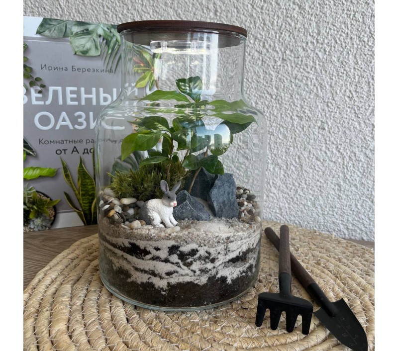 Флорариум "Мини-сад" "Колумбия" в закрытой экосистеме с подсветкой арт. 145