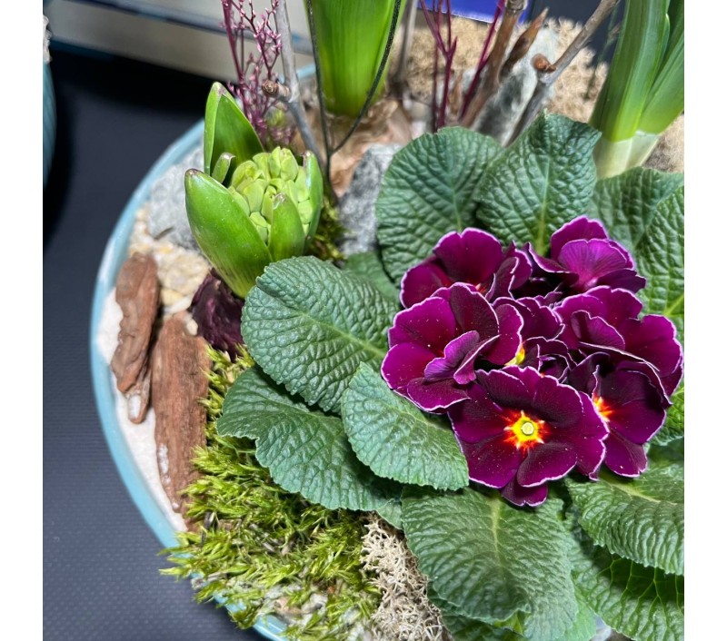 Композиция в керамическом кашпо с первоцветами арт. 146