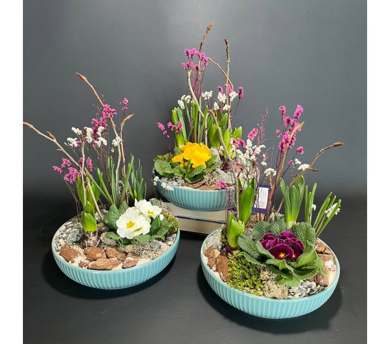 Композиция в керамическом кашпо с первоцветами арт. 146