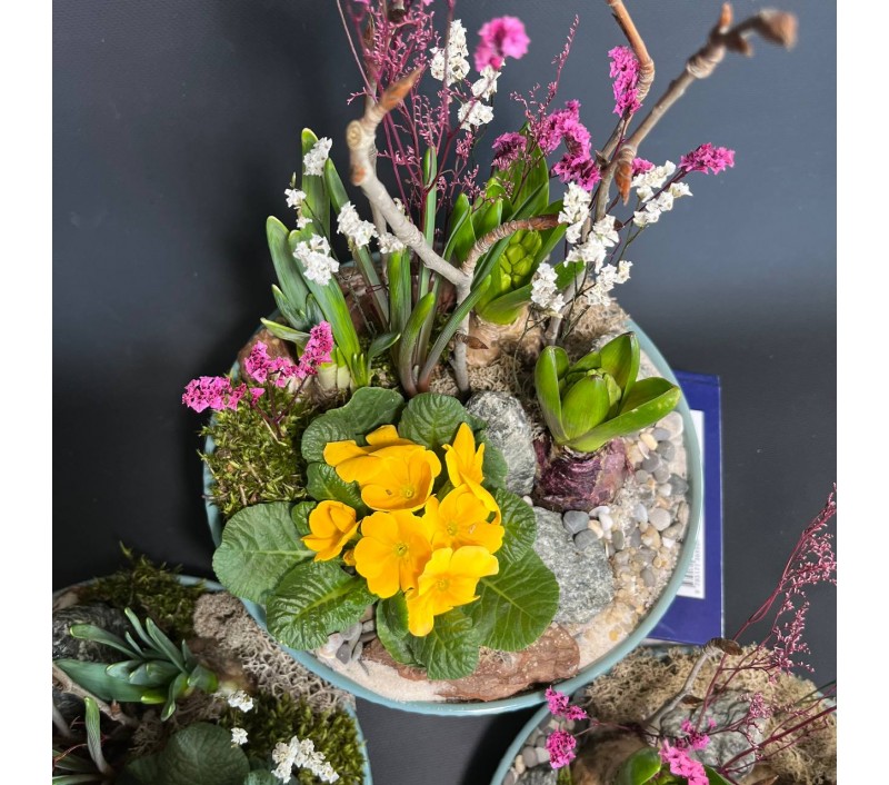 Композиция в керамическом кашпо с первоцветами арт. 146