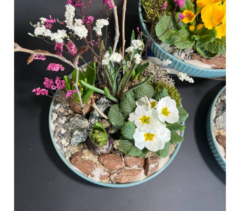 Композиция в керамическом кашпо с первоцветами арт. 146